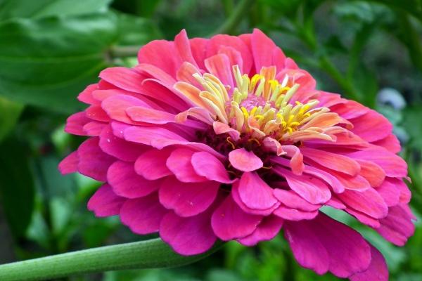 唐立淇 每日12星座运势5.11