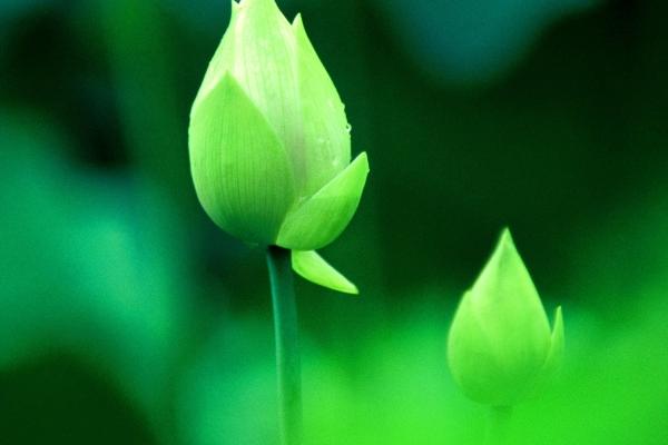 八字怎么看出一生财运 根据四柱八字看财运