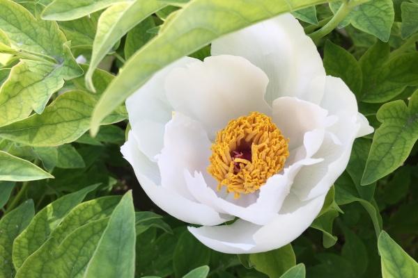 2023年6月5日开业好吗 是开业吉日吗