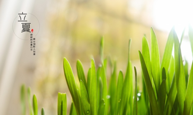 怎么确定自己是什么星座的？不止是看日期！