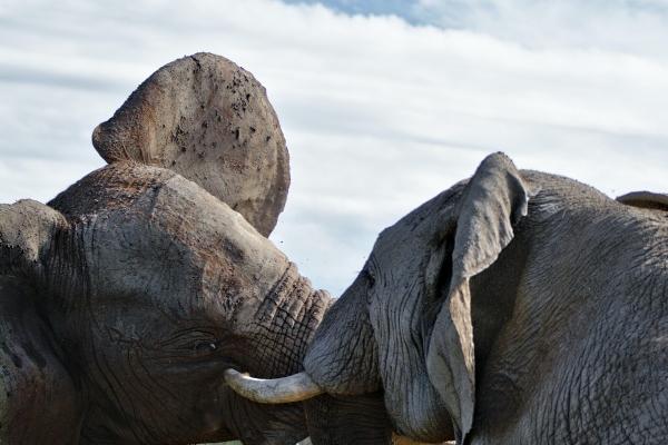 2023年6月3日结婚好不好 是结婚吉日吗