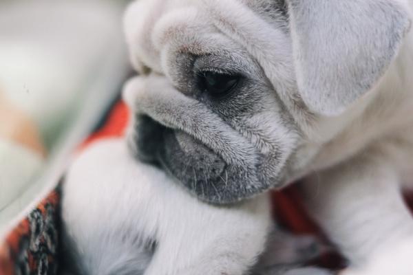 双鱼女聪明一般人追不到 她们的心思不单纯?