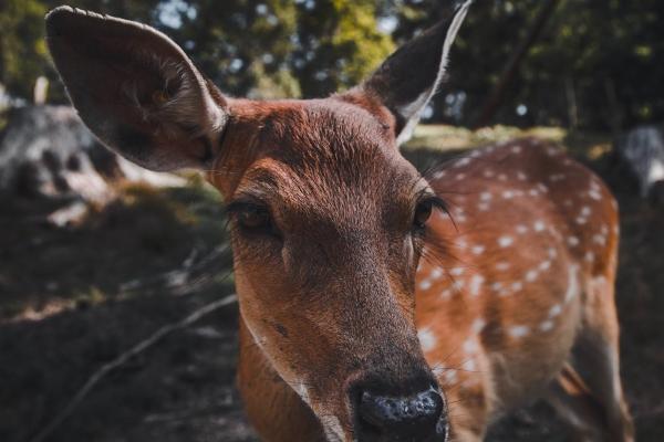 2023年6月7日结婚吉利吗 是否适合结婚