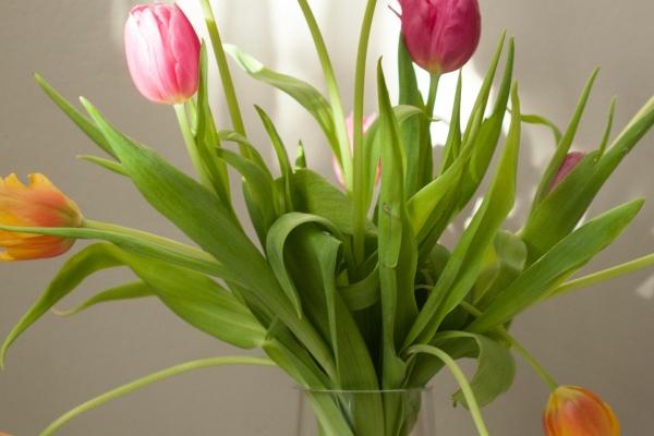 2023年6月6日开业好吗 芒种这天是开门大吉的日子吗