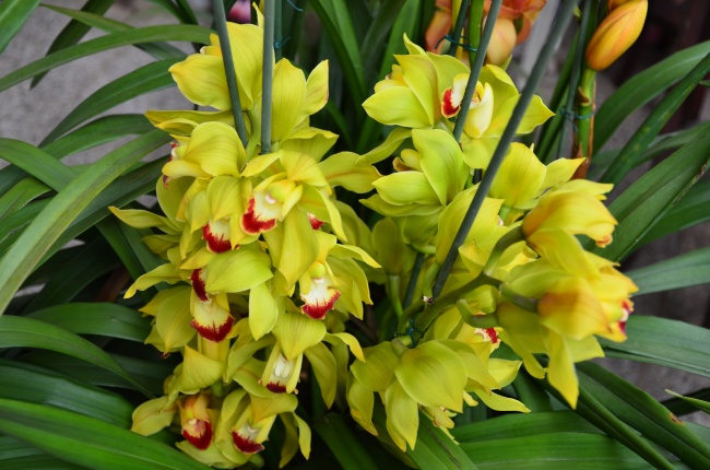 2023年金牛座感情运势详解 情感方面表现如何