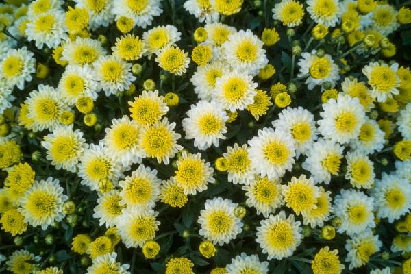 2023年6月2日可以搬家吗 宜搬家入新房吗