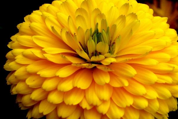 这3大星座最容易吃回头草!分手后还忍不住对旧爱好