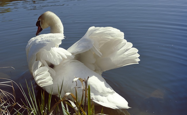 分手见人品!这3星座分手后也会大方祝福前任得到幸福