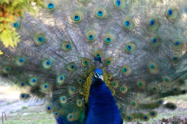 闹闹女巫 爱吃回头草分手断不干净的星座，警惕接盘
