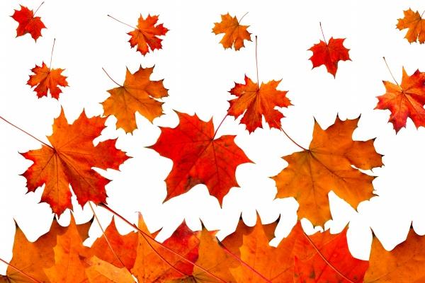 苏珊米勒 今日星座运势查询5.12