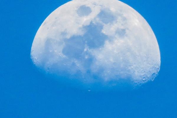 2023年也是木旺之年么 2023年为水木之年