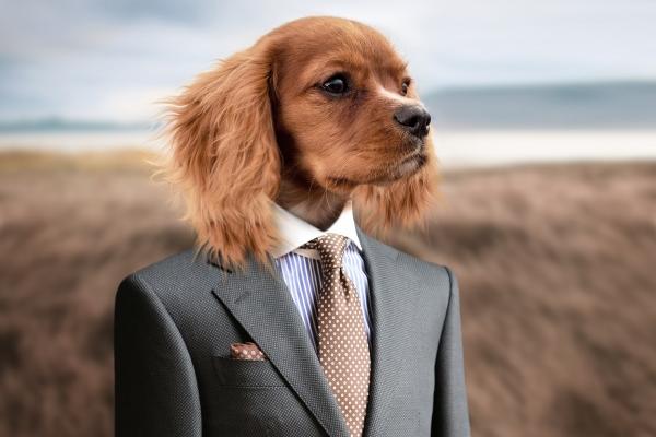 2023年6月11日适合搬家吗 今天搬迁好不好