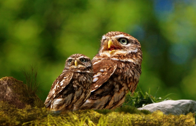 处女男偏爱天蝎女 离开她就会活不下去!