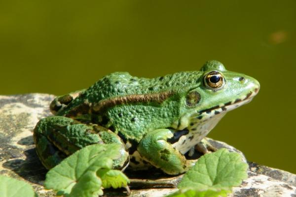 2023年6月2日适合领证吗 登记结婚合不合适