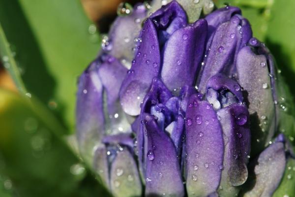 2023年6月13日适合结婚吗 这天适合出嫁吗