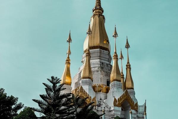 2023年端午节出生的宝宝好吗 端午节出生的兔子好吗