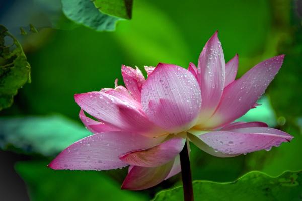 2023年6月10日搬家好吗 今日宜搬家吗