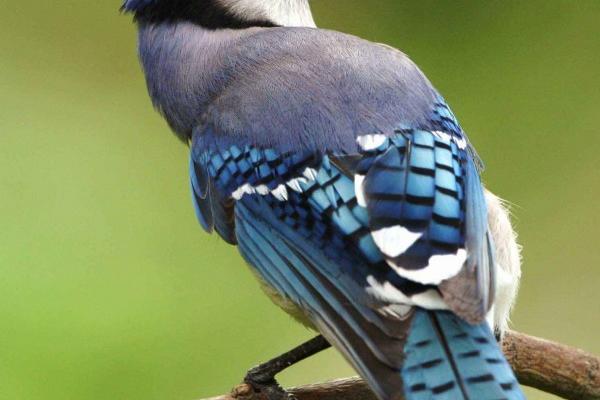 再过30天,4大星座得多方吉星相护,有贵人扶持,财运爆发