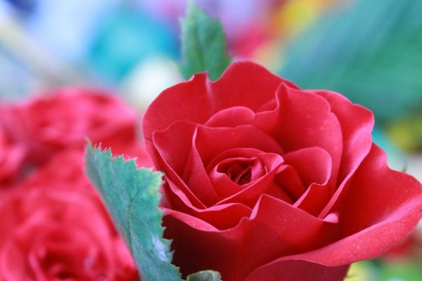 2023年6月9日适合领证吗 领证的好日子吗