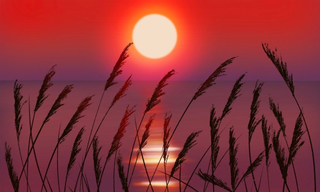 会让旧爱回头的星座女 天蝎女是个忠诚的人!