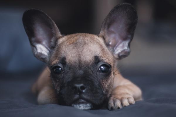 白羊座2023年7月贵人运走向 整体运势为何艰难?