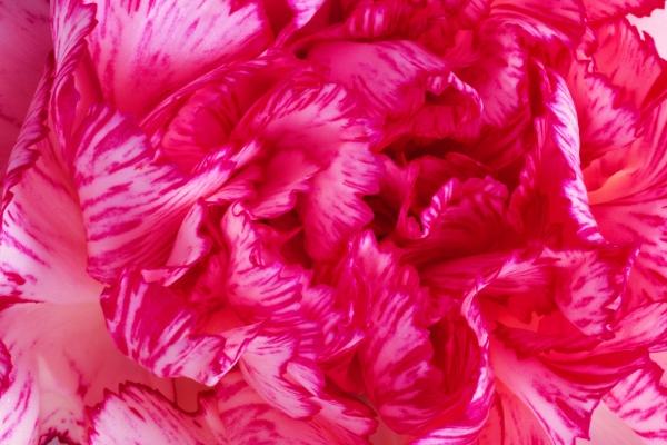 2023年双鱼座7月贵人运分析 运势高涨的一个月？