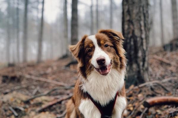 2023年金牛座下半年运势 各个方面都比较稳定