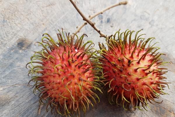 12星座的爱情观:谁是最专一的星座?