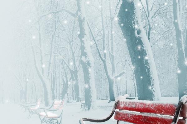 摩羯和双子注定纠缠 摩羯和双子谁控制谁?