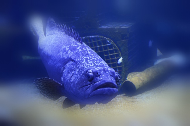 2023年6月19日领证好吗 领证寓意好不好