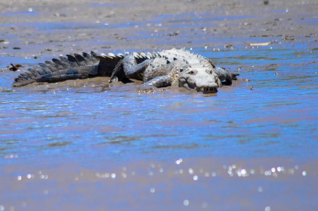 2023年6月14日可以搬家吗 宜搬家入新房吗