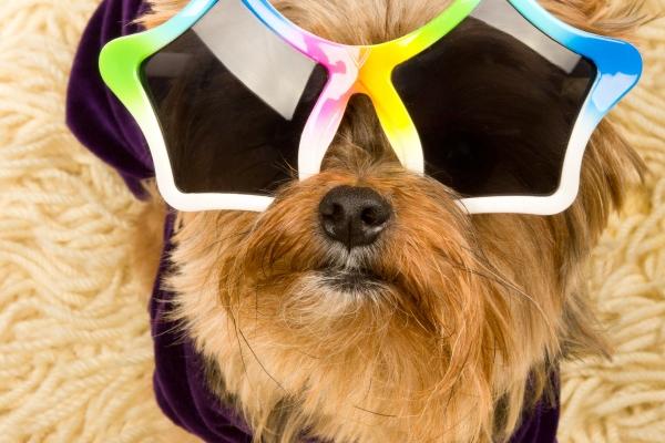 2023年6月30日开业好不好 是不是黄道吉日