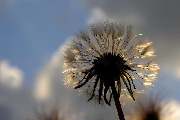 2023年6月18日结婚好不好 父亲节能办婚礼吗