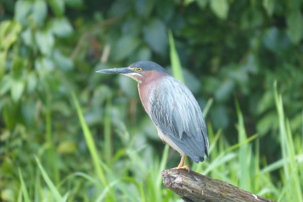 2023年巨蟹座下半年太可怕了 会遇到一些烂桃花