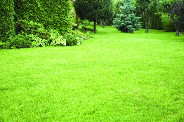 当天秤男遇到金牛女 水火不容?