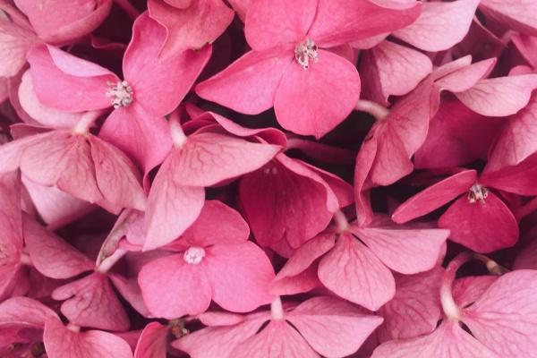 2023年6月5日适合签约吗 签订合同好不好