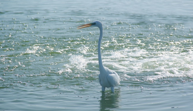 2023年6月30日搬家好不好 这天是搬家黄道吉日吗