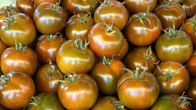 2023年狮子座下半年太可怕了 狮子座提运建议