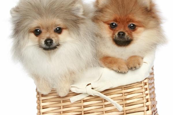 2023年6月21日开业黄道吉日查询 夏至可以开张吗