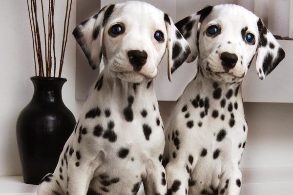 2023年6月25日搬家好不好 日子吉利吗