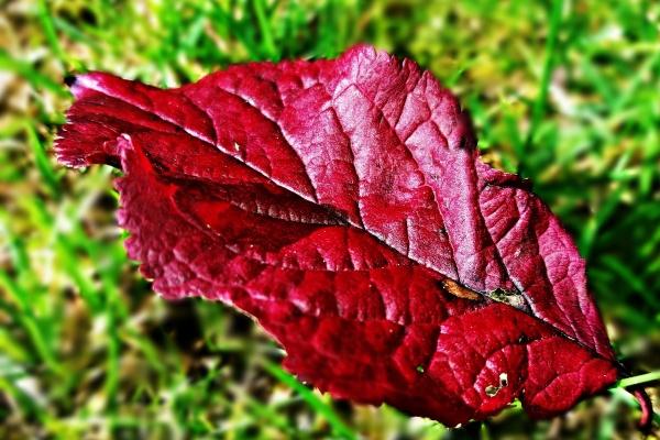 苏珊大妈金牛座2023年6月运势详解