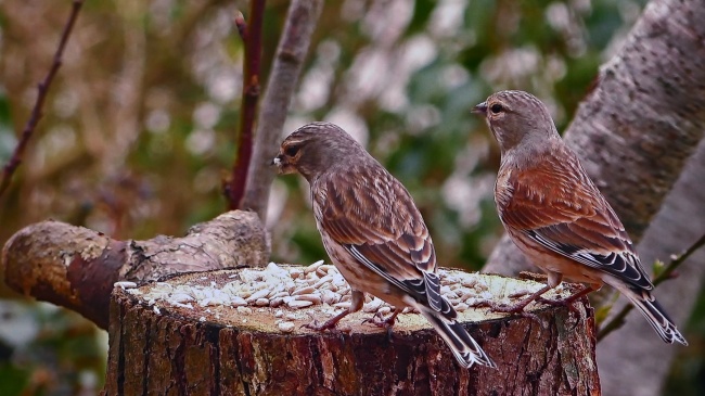 射手座2023年7月贵人运走向 本月顺风顺水一片红