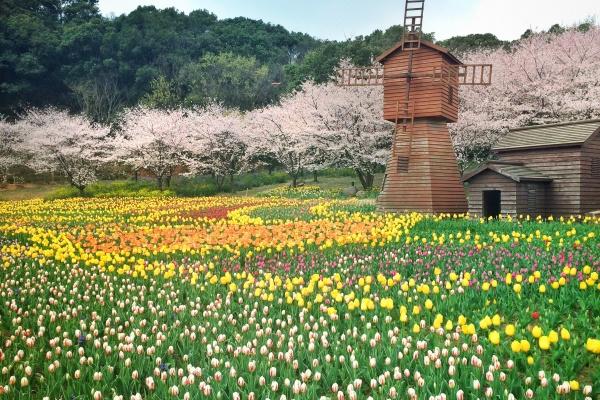 双鱼座2023年下半年运势怎么样 如何顺利度过