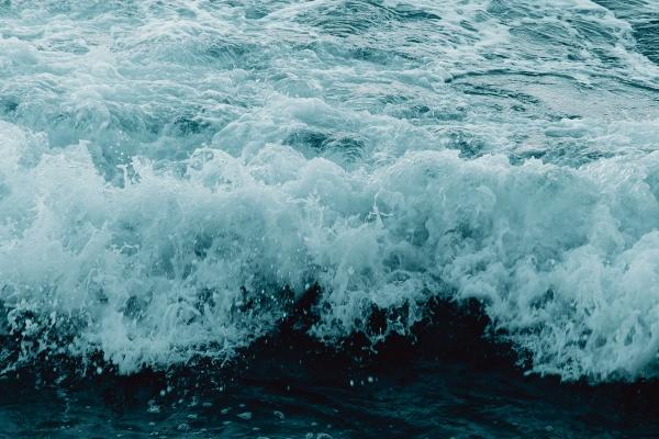 苏珊大妈处女座2023年6月运势详解