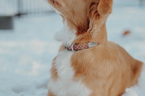 2023年巨蟹座7月贵人运分析 谁会是你本月最大贵人?