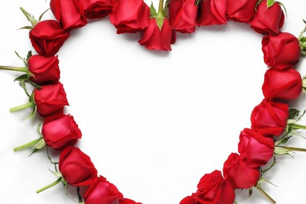 天蝎和巨蟹是绝配吗 天蝎没他不行!