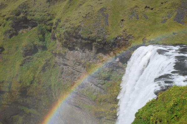 2023年6月20日可以搬家吗 今日宜搬家吗