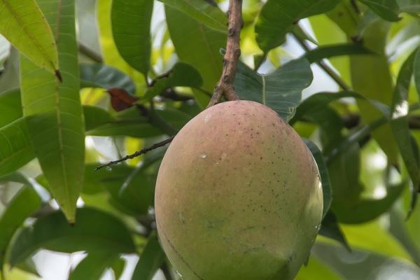唐立淇 每日12星座运势5.19