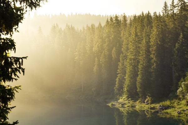 闹闹女巫 0522十二星座今日运势