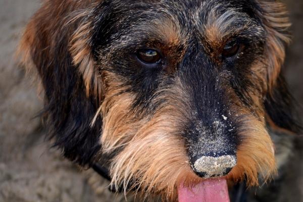2023年6月10日开业好不好 是开业吉日吗